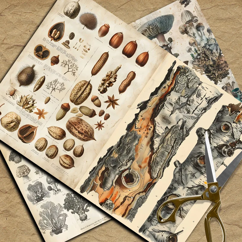Papel de Material Vintage para - Vintage Things Collection reseña y precio